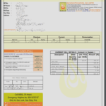 MNGL Duplicate Bill View Print and Download